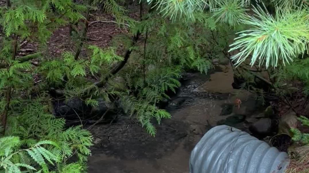 Water stream